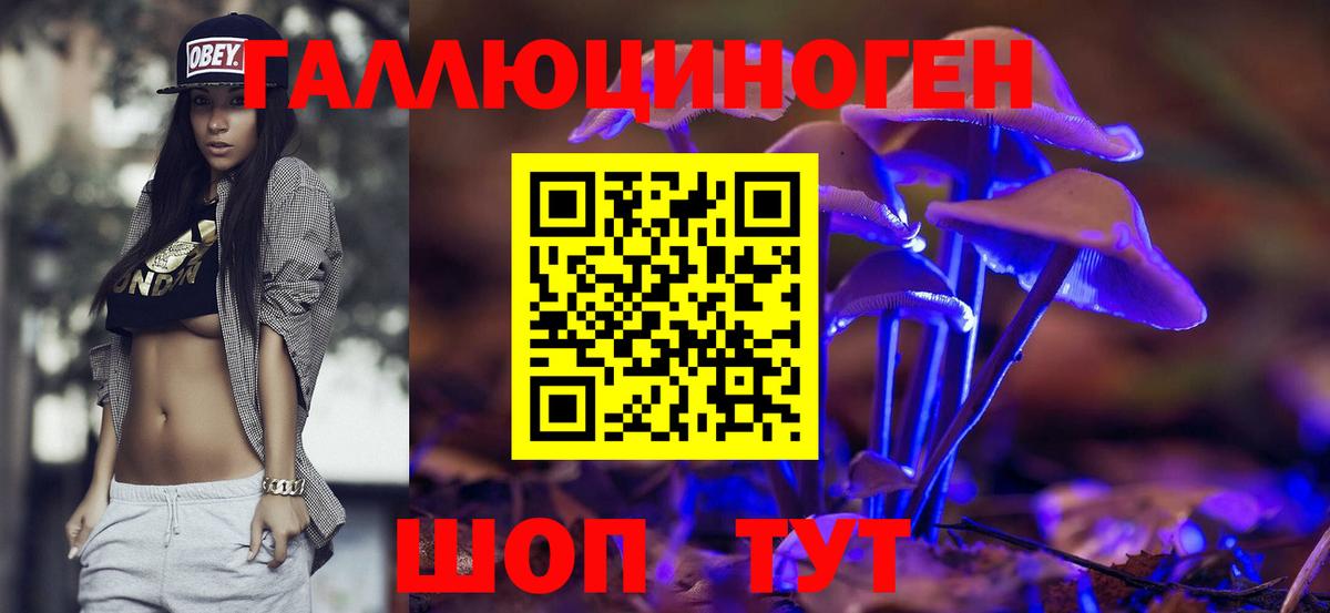 A PVP СК кристаллы  Вход с VPN  Меф кристаллы  Марихуана  ТГК  Заводоуковск  МЕФ  ГАШ 