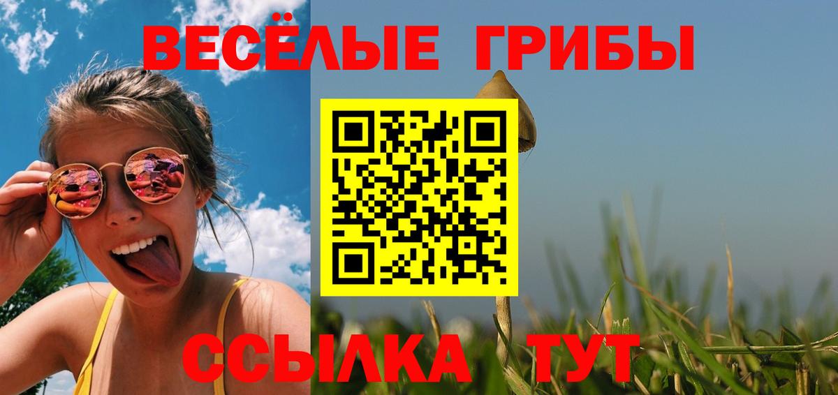 Псилоцибиновые грибы мухоморы  Галлюциногенные грибы Cubensis  Вход с VPN  Заводоуковск 